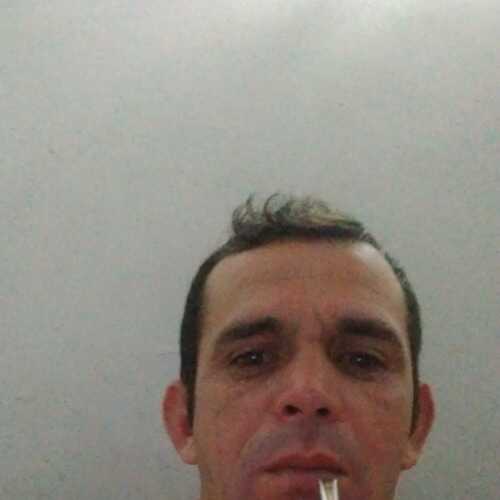 gonsaleca779