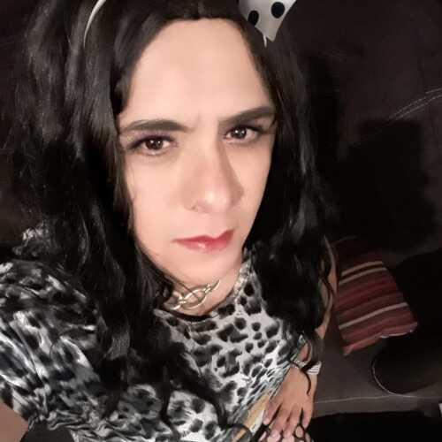 oscarquitv