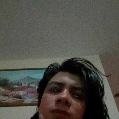 danvar299