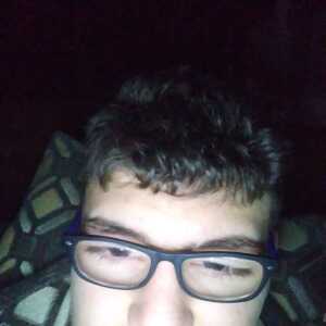 dominicgru532