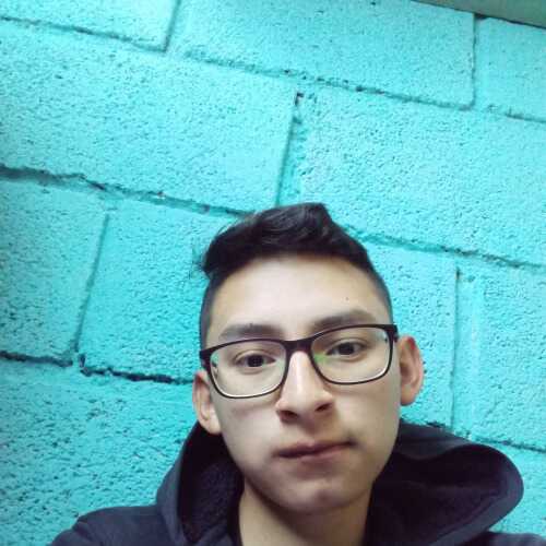 steveninsua641
