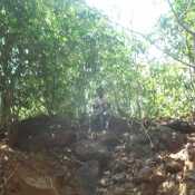 pavihublibcdefg
