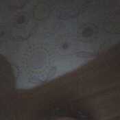 orone