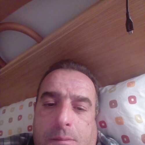 losillap875