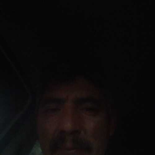 campaca785