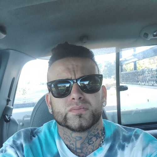 thewolf667