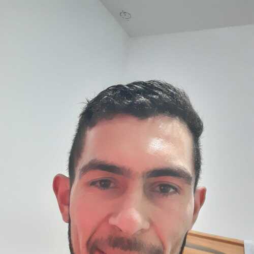 toilo82