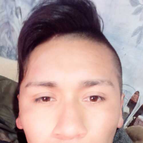 cutipajav773