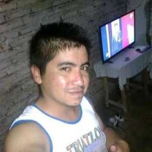 francolu478