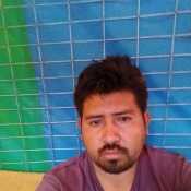 Ricar393