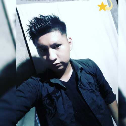 herlin320