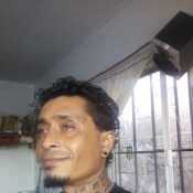 Danyelperro