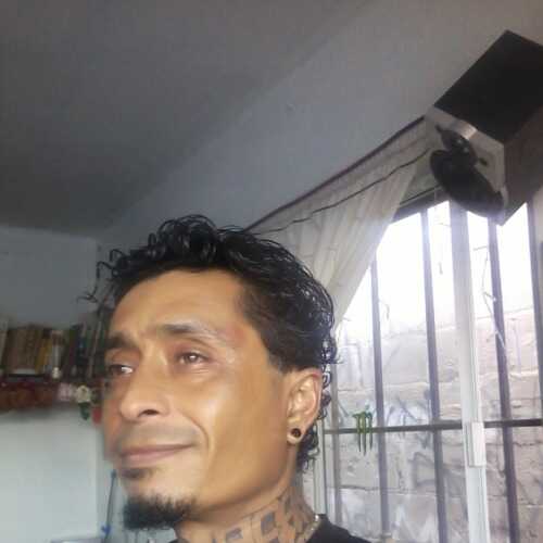 Danyelperro