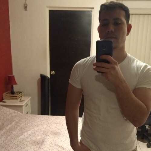 elfino4