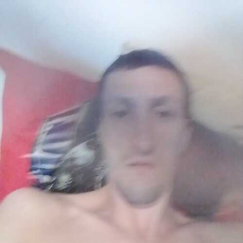 theflashfastersmanal095