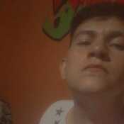 wilirexpera134