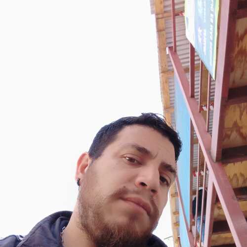 camusheribe424