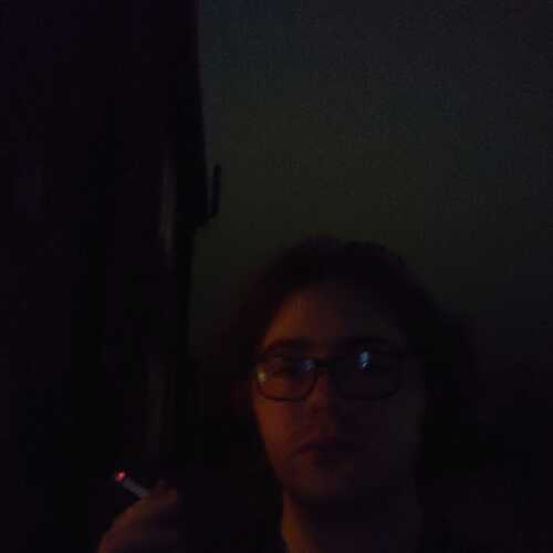 Budgiefan