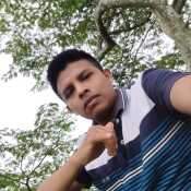 Daile
