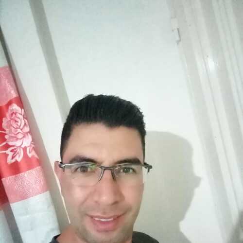 moy0584