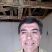 pachobertin