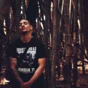 hhvi002