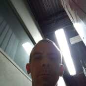 Bull4U768