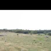 camilobarbozape288