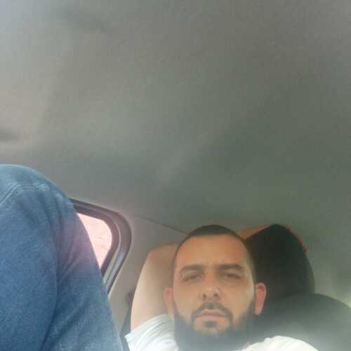 bassi588