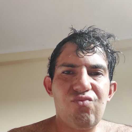 vandogus