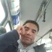 Ginno26