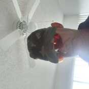 amistadesdesiem519