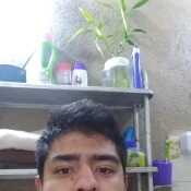 sebasgea146