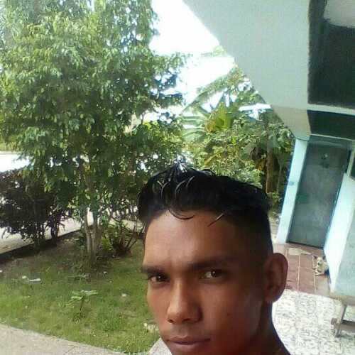peve95