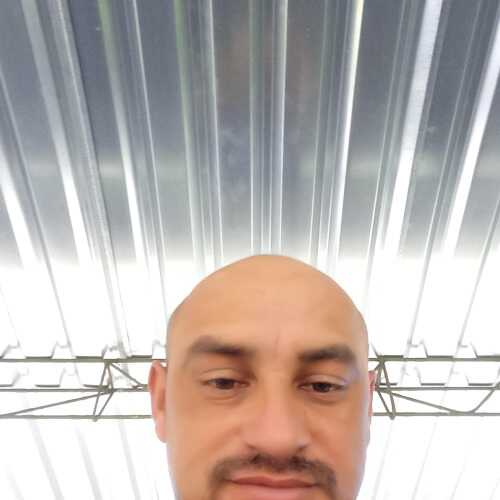 Andrestecoje
