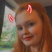Holxgabe