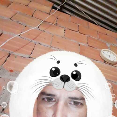 artecrearobin
