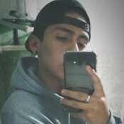 faacuuroomer335