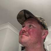 Teddybb1