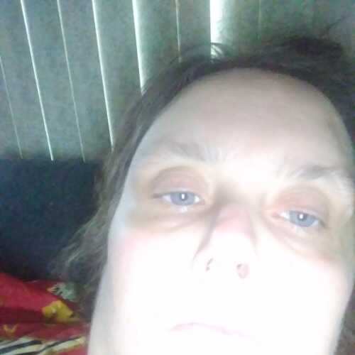 taylorjer164