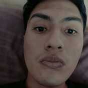 palominoalb482