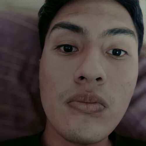 palominoalb482