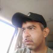 mendo8629