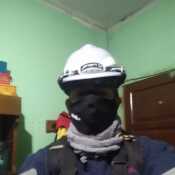 jorgega914