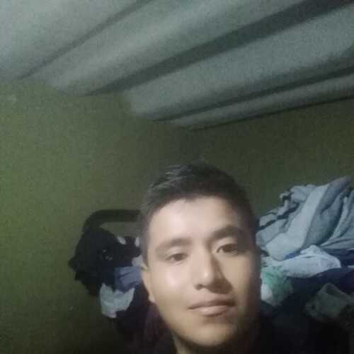 jeis033