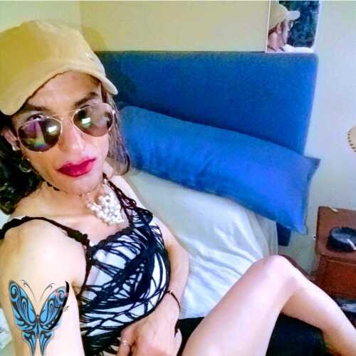 Sissysangoie