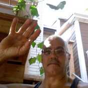 fatherjerry66