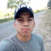 Teamo007