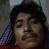 Taz033