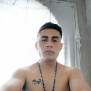 badib427